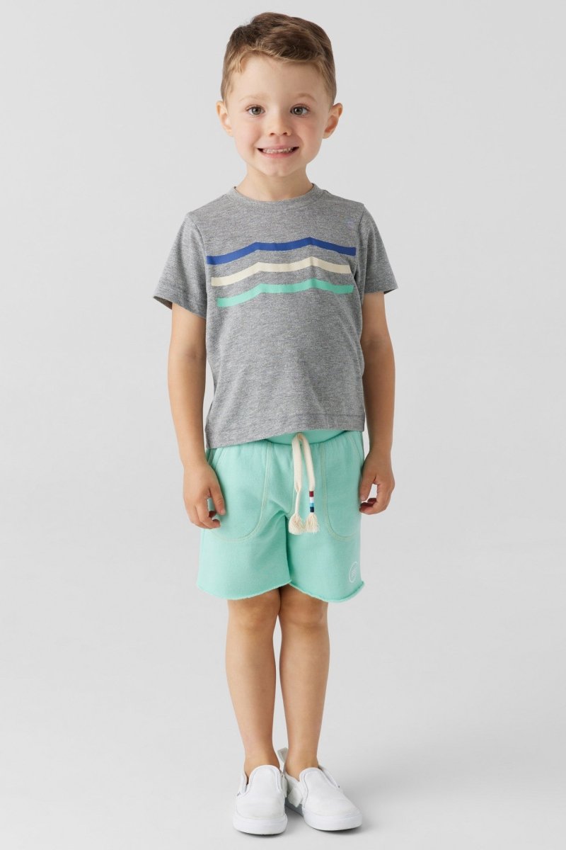 PALM WAVES SHORTS - SOL ANGELES KIDS